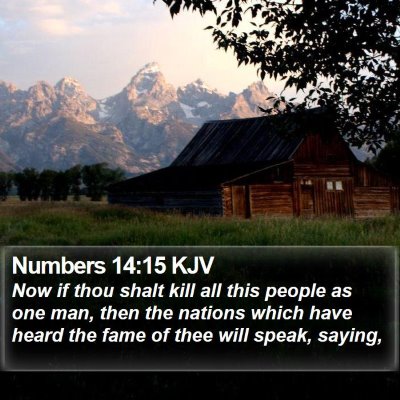 Numbers 14:15 KJV Bible Verse Image