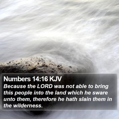 Numbers 14:16 KJV Bible Verse Image