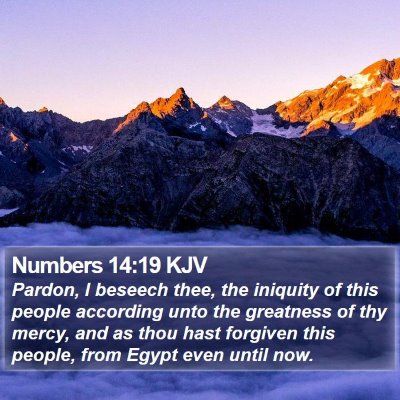 Numbers 14:19 KJV Bible Verse Image