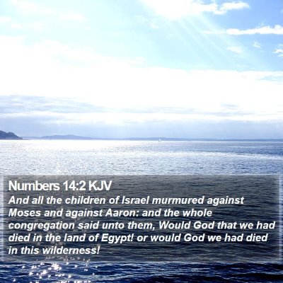 Numbers 14:2 KJV Bible Verse Image