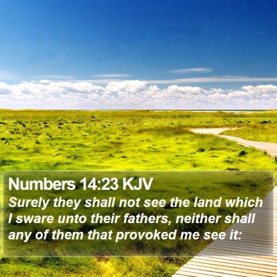 Numbers 14:23 KJV Bible Verse Image
