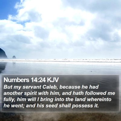 Numbers 14:24 KJV Bible Verse Image