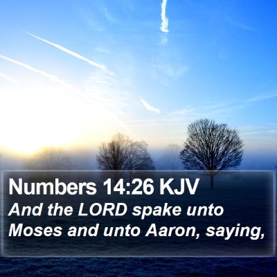 Numbers 14:26 KJV Bible Verse Image