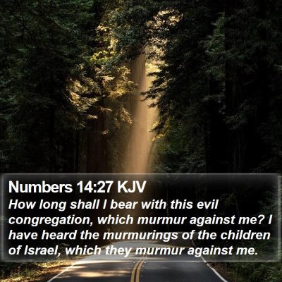 Numbers 14:27 KJV Bible Verse Image