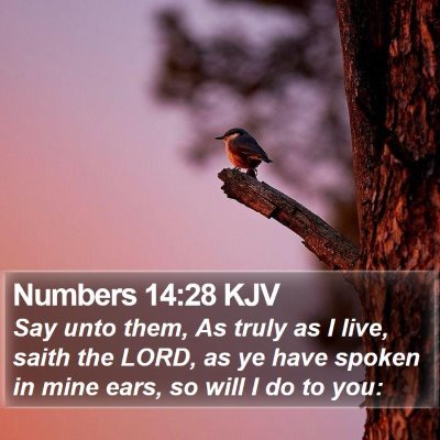 Numbers 14:28 KJV Bible Verse Image