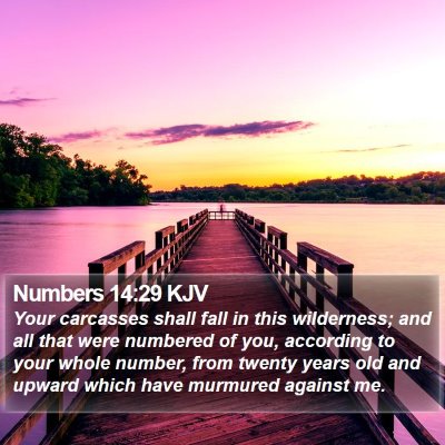 Numbers 14:29 KJV Bible Verse Image