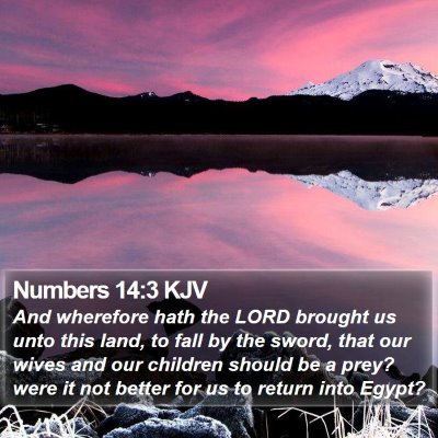 Numbers 14:3 KJV Bible Verse Image