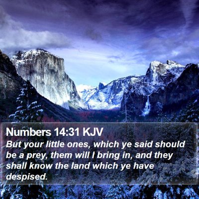 Numbers 14:31 KJV Bible Verse Image