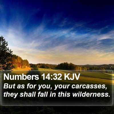 Numbers 14:32 KJV Bible Verse Image