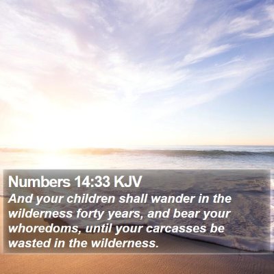 Numbers 14:33 KJV Bible Verse Image