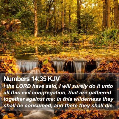 Numbers 14:35 KJV Bible Verse Image