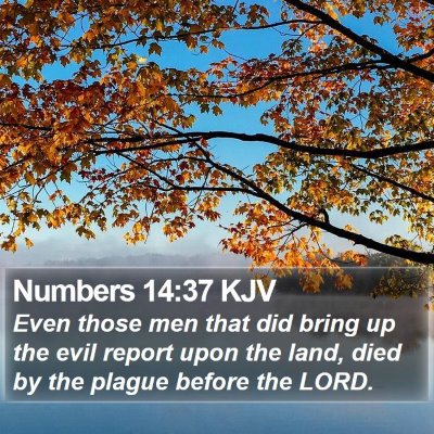 Numbers 14:37 KJV Bible Verse Image
