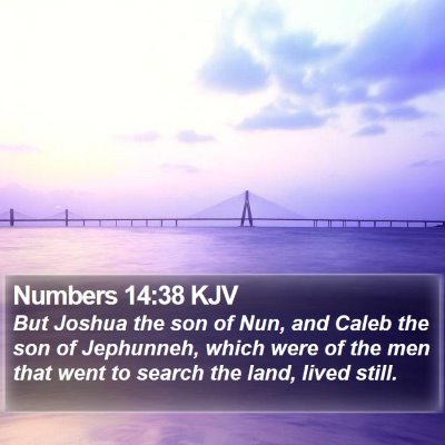 Numbers 14:38 KJV Bible Verse Image