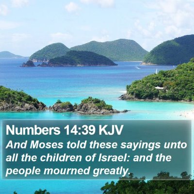 Numbers 14:39 KJV Bible Verse Image