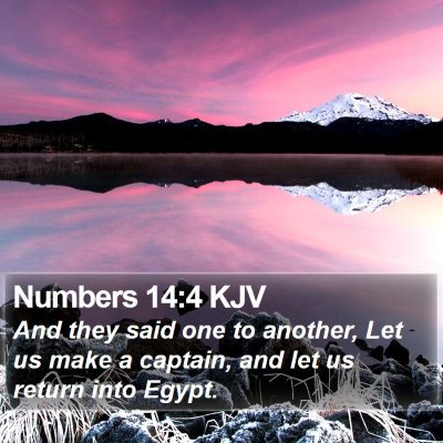 Numbers 14:4 KJV Bible Verse Image