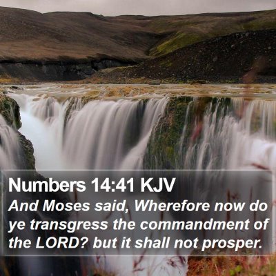 Numbers 14:41 KJV Bible Verse Image
