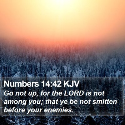 Numbers 14:42 KJV Bible Verse Image