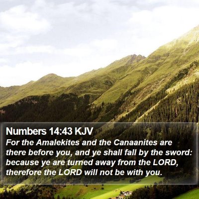 Numbers 14:43 KJV Bible Verse Image