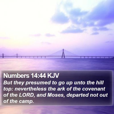 Numbers 14:44 KJV Bible Verse Image