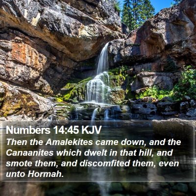 Numbers 14:45 KJV Bible Verse Image