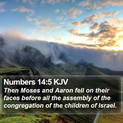 Numbers 14:5 KJV Bible Verse Image
