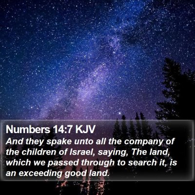 Numbers 14:7 KJV Bible Verse Image
