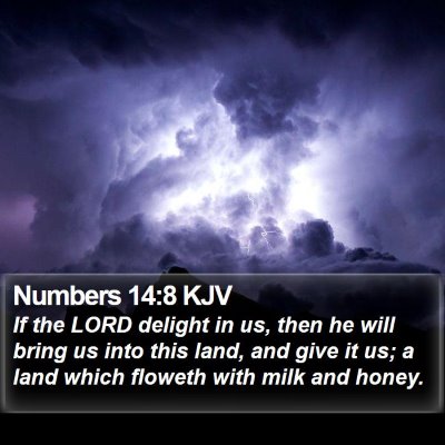 Numbers 14:8 KJV Bible Verse Image