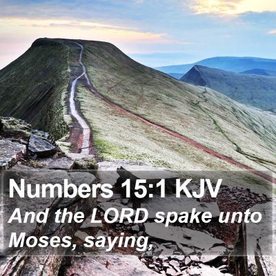 Numbers 15:1 KJV Bible Verse Image
