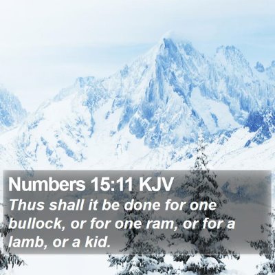 Numbers 15:11 KJV Bible Verse Image