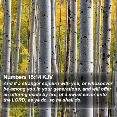 Numbers 15:14 KJV Bible Verse Image