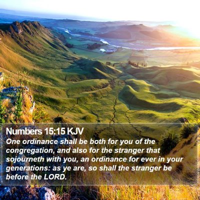 Numbers 15:15 KJV Bible Verse Image