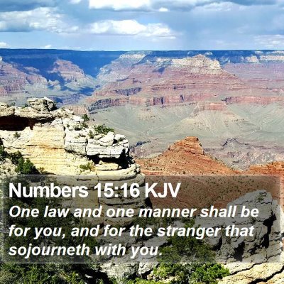 Numbers 15:16 KJV Bible Verse Image