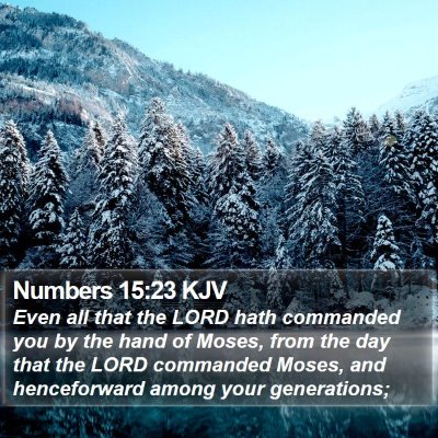 Numbers 15:23 KJV Bible Verse Image