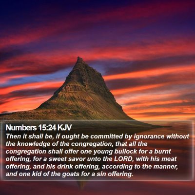 Numbers 15:24 KJV Bible Verse Image