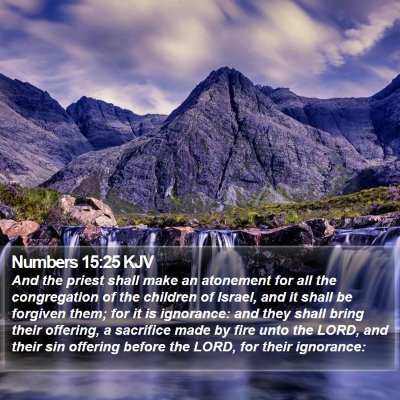 Numbers 15:25 KJV Bible Verse Image