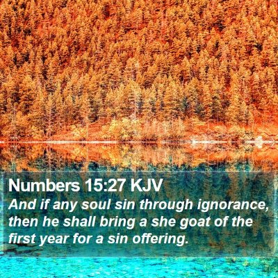 Numbers 15:27 KJV Bible Verse Image