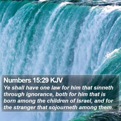 Numbers 15:29 KJV Bible Verse Image