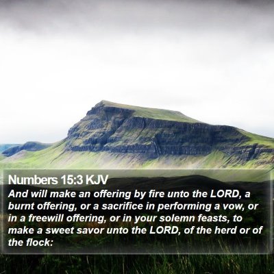 Numbers 15:3 KJV Bible Verse Image