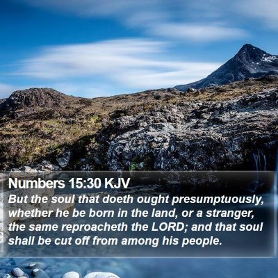 Numbers 15:30 KJV Bible Verse Image
