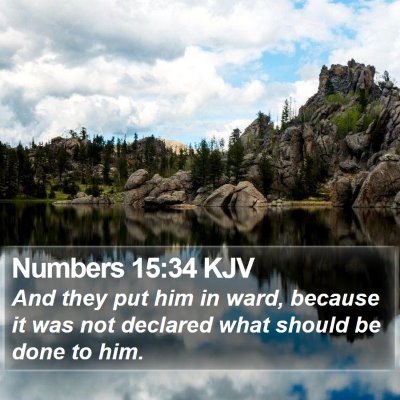 Numbers 15:34 KJV Bible Verse Image