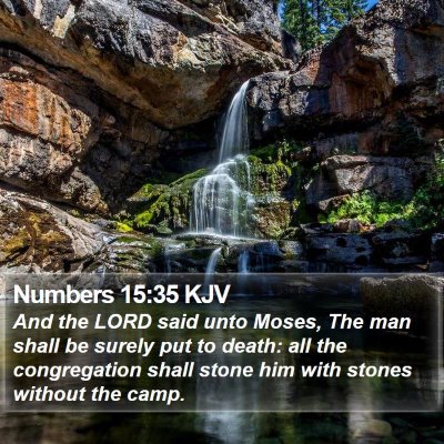 Numbers 15:35 KJV Bible Verse Image