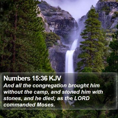 Numbers 15:36 KJV Bible Verse Image