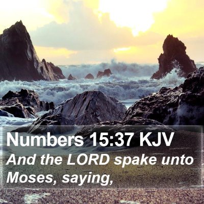 Numbers 15:37 KJV Bible Verse Image