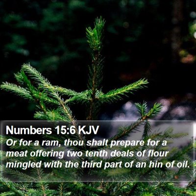Numbers 15:6 KJV Bible Verse Image