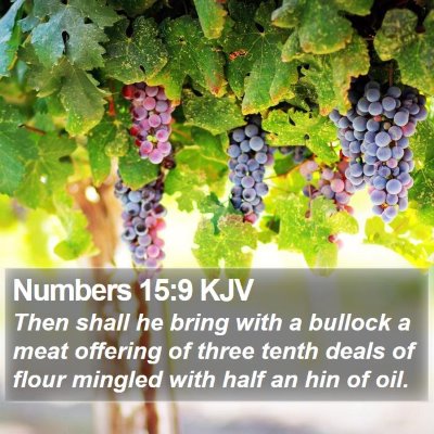 Numbers 15:9 KJV Bible Verse Image