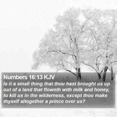 Numbers 16:13 KJV Bible Verse Image