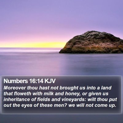 Numbers 16:14 KJV Bible Verse Image