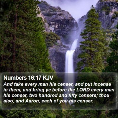 Numbers 16:17 KJV Bible Verse Image