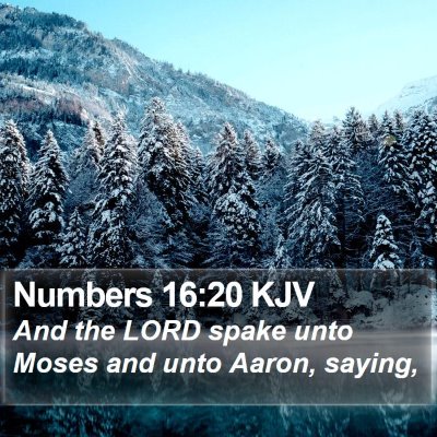 Numbers 16:20 KJV Bible Verse Image