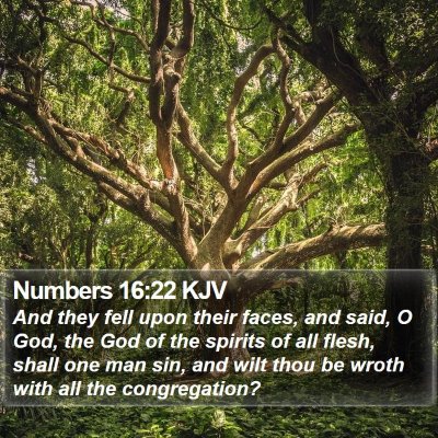 Numbers 16:22 KJV Bible Verse Image
